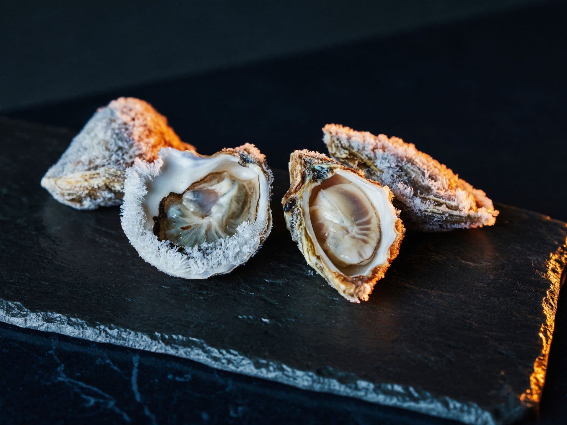 IQF Cooking Oysters